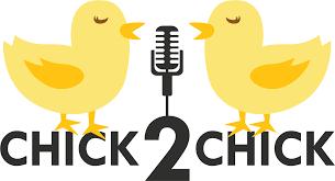 Social Media Harassment – What to Do: Brian Perry Interviewed on Chick2Chick Podcast